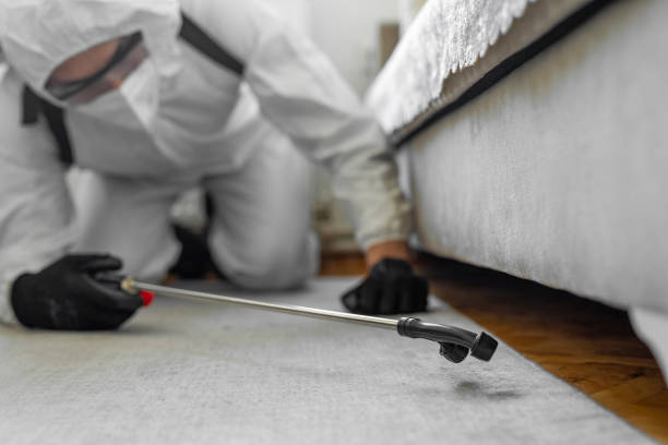 Professional Termite Control technician working in Sinton, TX
