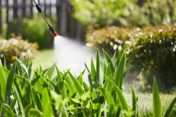 24/7 Emergency Termite Control experts in Sinton, TX